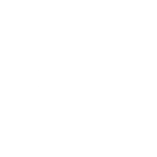 navy-logo-white